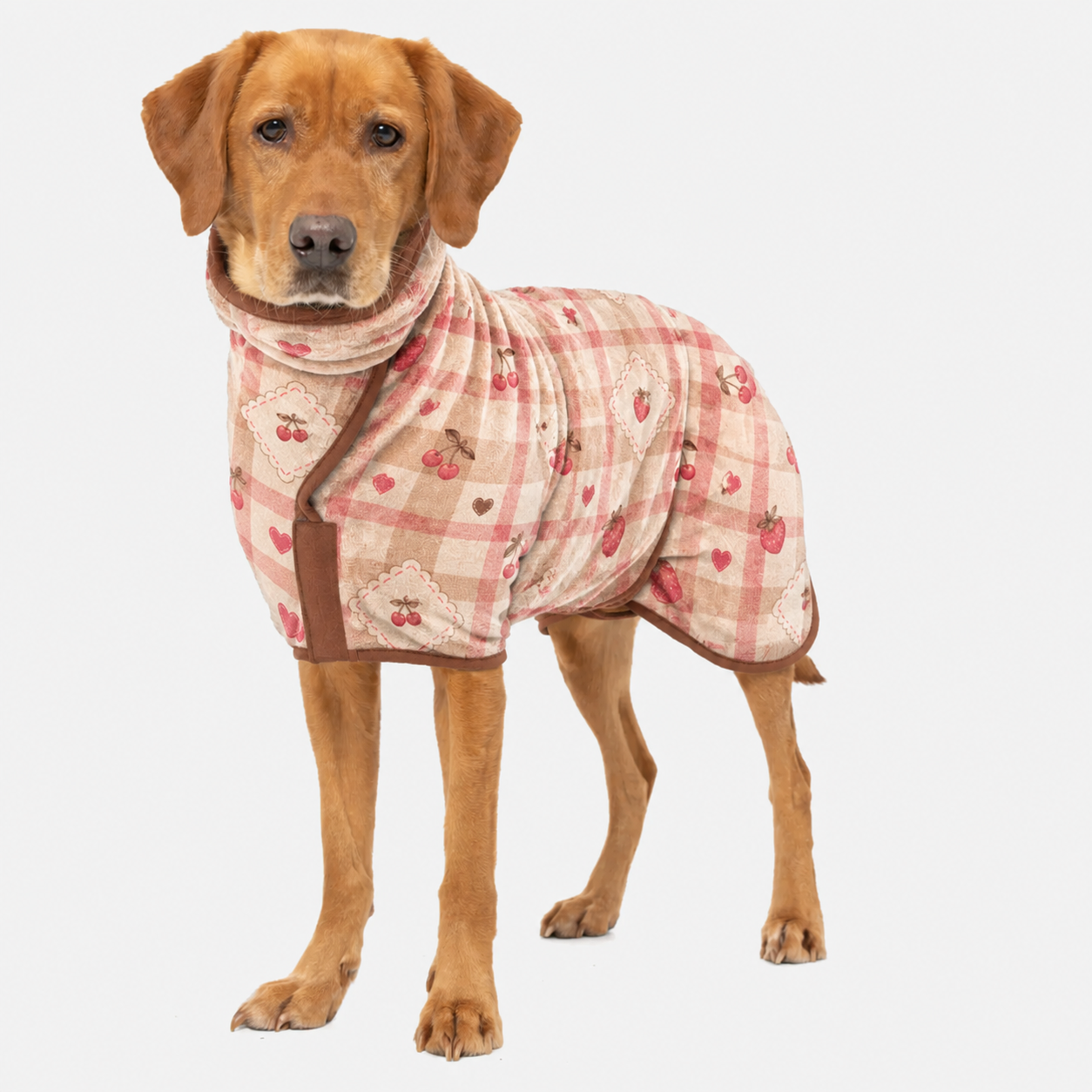 Dessert Gingham quick-dry dog robe
