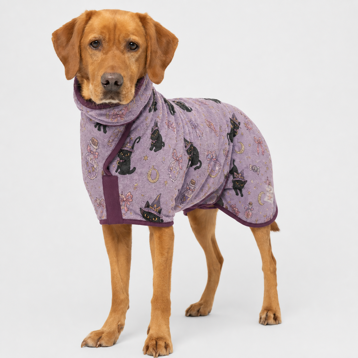 Purple Black Cat Halloween quick-dry dog robe