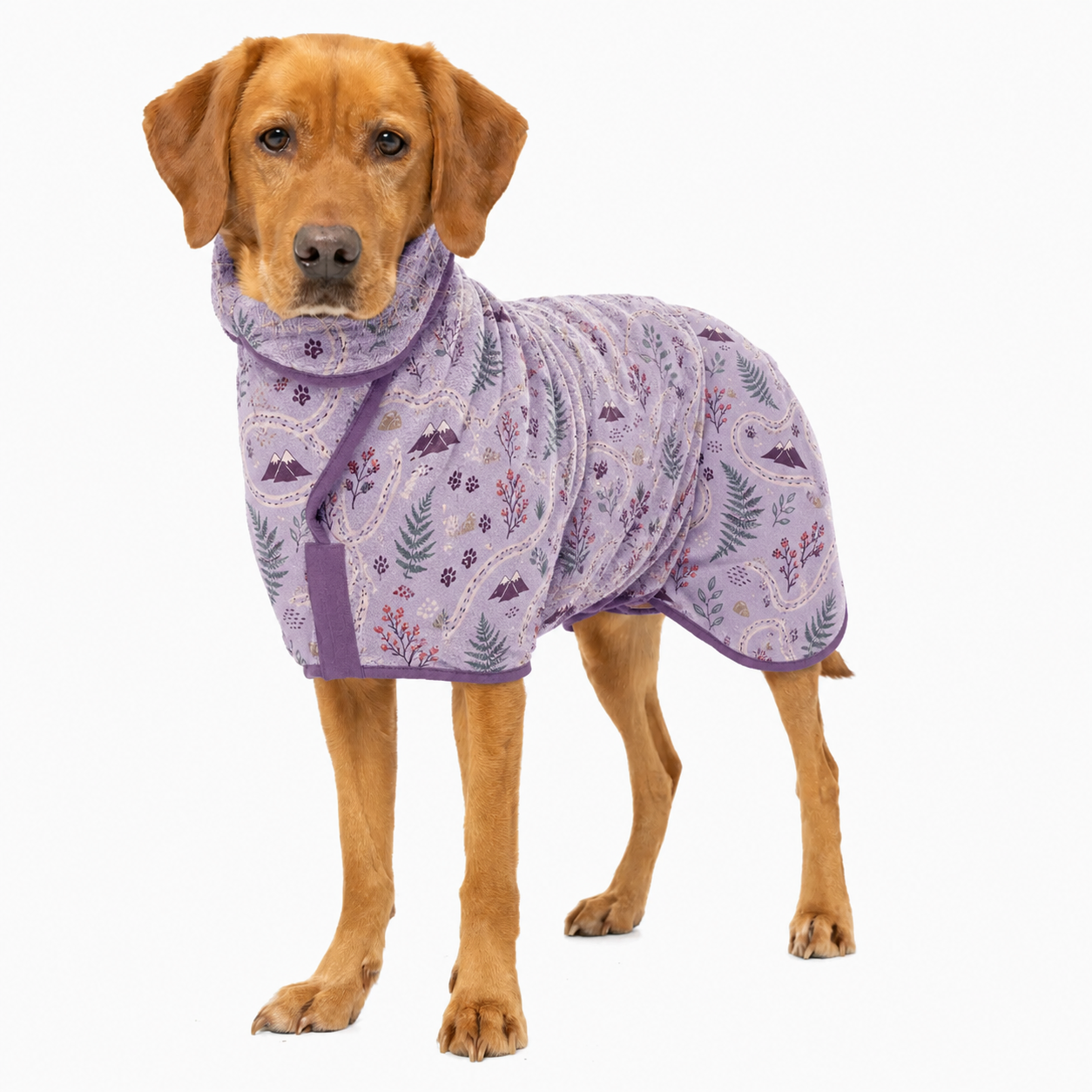 Wild Berry Hiking quick-dry dog robe